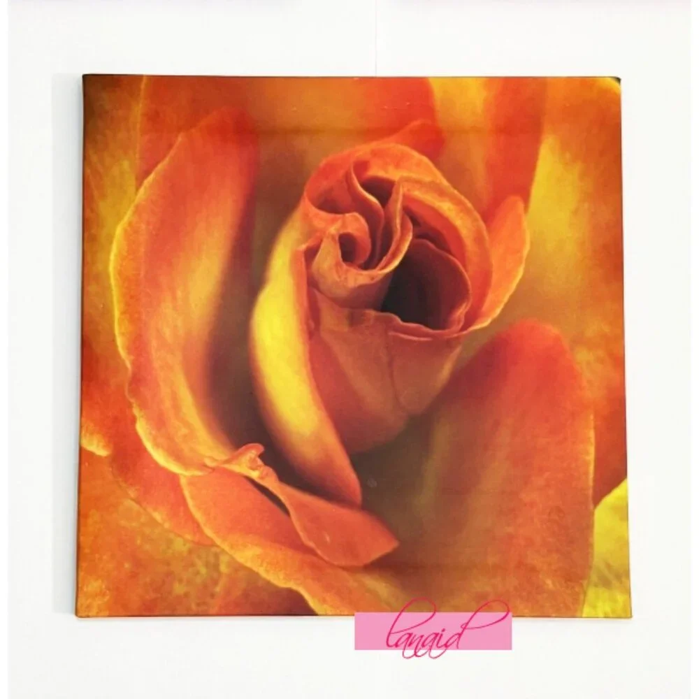 BUNDLE 3 Rose Floral Flowers Pink Orange Square Wall Hangings Art Mounts Lot Set